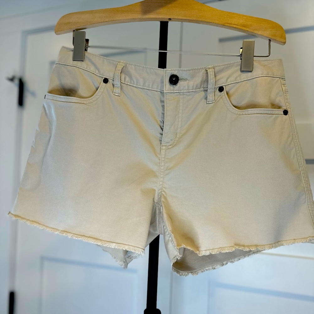 Carve Designs Maui Shorts